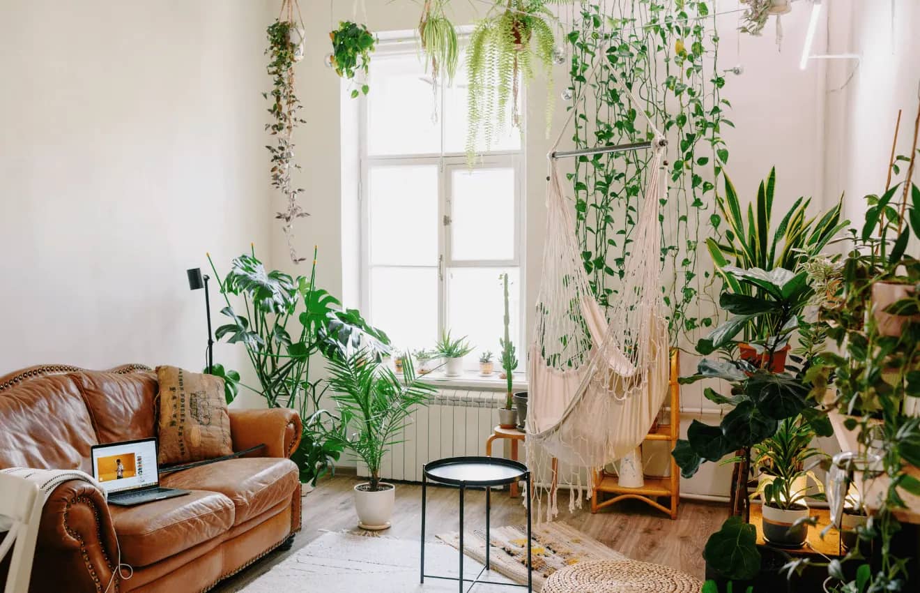 Sustainable and Green Features in Virginia Beach