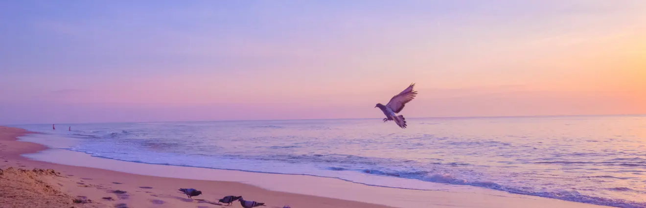 investment opportunities in virginia beach
